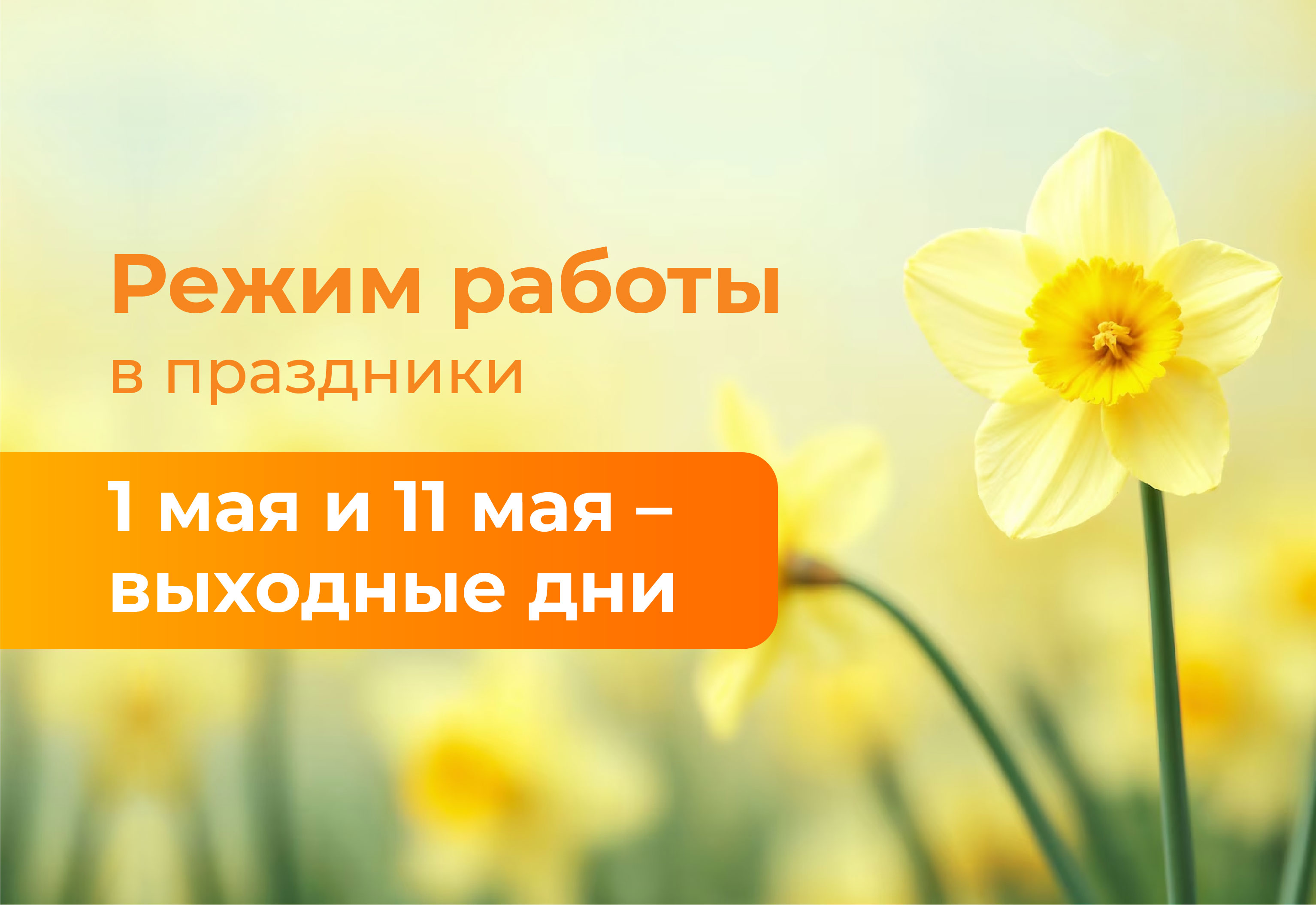 Режим работы в майские праздники