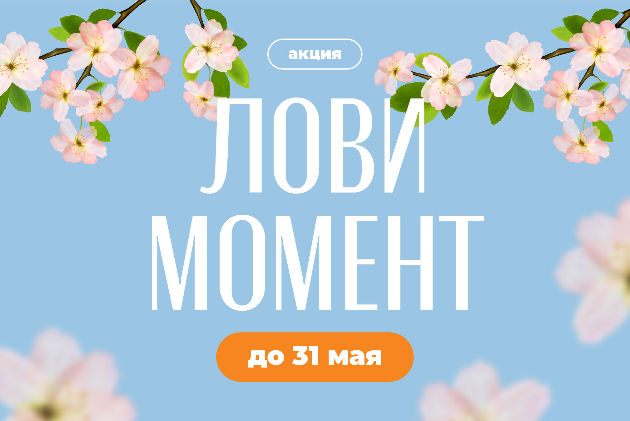 Майская акция уже зацвела! 